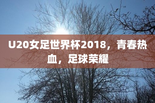 U20女足世界杯2018，青春热血，足球荣耀