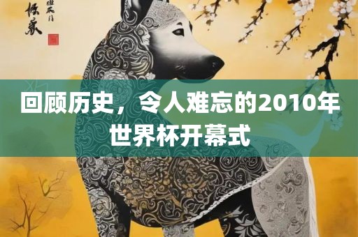 回顾历史，令人难忘的2010年世界杯开幕式