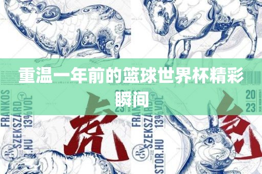 重温一年前的篮球世界杯精彩瞬间