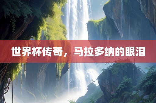 世界杯传奇，马拉多纳的眼泪