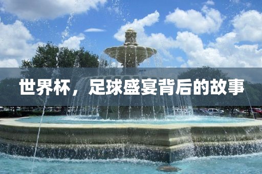 世界杯，足球盛宴背后的故事丹东日丰电子有限公司