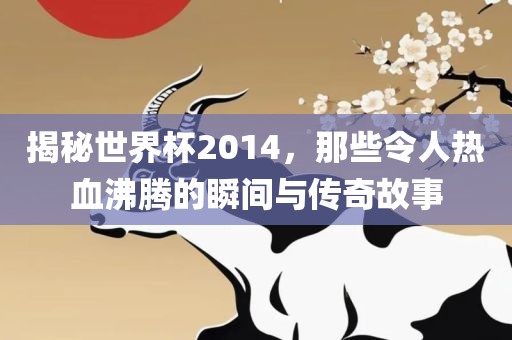 揭秘世界杯2014，那些令人热血沸腾的瞬间与传奇故事
