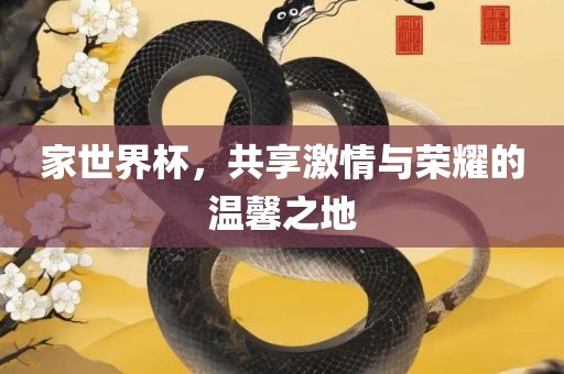 家世界杯，共享激情与荣耀的温馨之地
