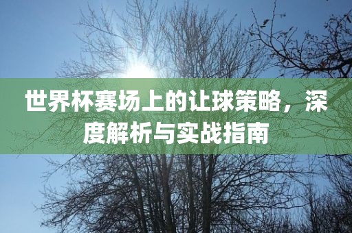 世界杯赛场上的让球策略，深度解析与实战指南