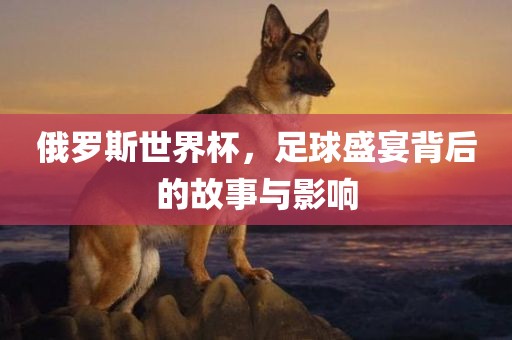 俄罗斯世界杯，足球盛宴背后的故事与影响