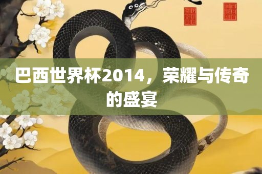 巴西世界杯2014，荣耀与传奇的盛宴