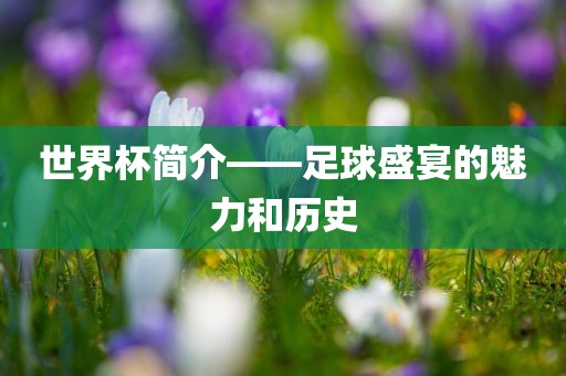 世界杯简介——足球盛宴的魅力和历史丹东日丰电子有限公司