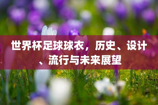 世界杯足球球衣，历史、设计、流行与未来展望
