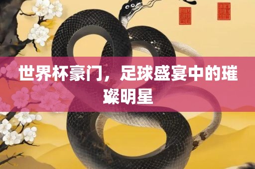 世界杯豪门，足球盛宴中的璀璨明星