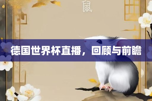 德国世界杯直播，回顾与前瞻