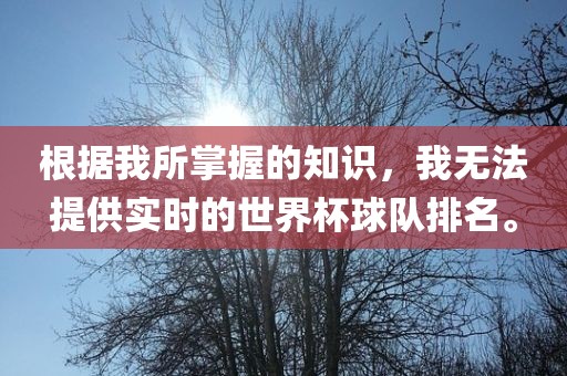 根据我所掌握的知识，我无法提供实时的世界杯球队排名。丹东日丰电子有限公司