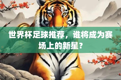 世界杯足球推荐，谁将成为赛场上的新星？