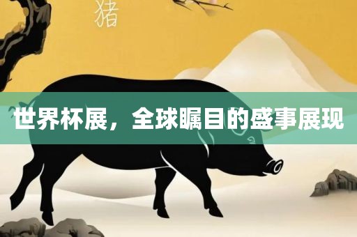 世界杯展，全球瞩目的盛事展现