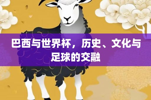 巴西与世界杯，历史、文化与足球的交融