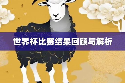 世界杯比赛结果回顾与解析