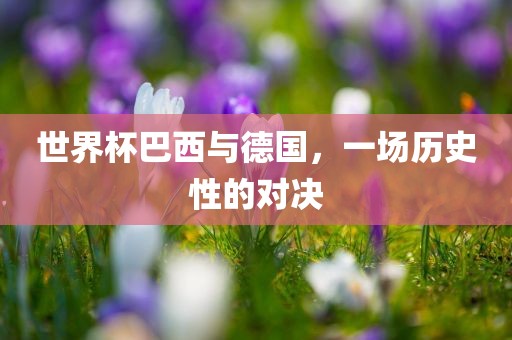 世界杯巴西与德国，一场历史性的对决