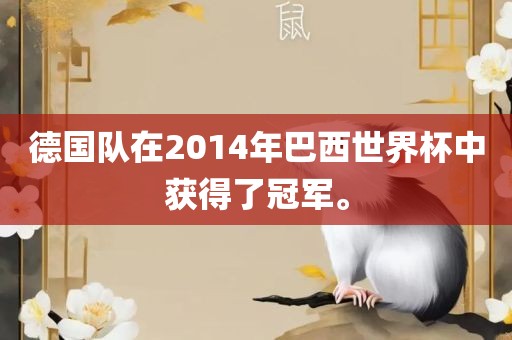 德国队在2014年巴西世界杯中获得了冠军。