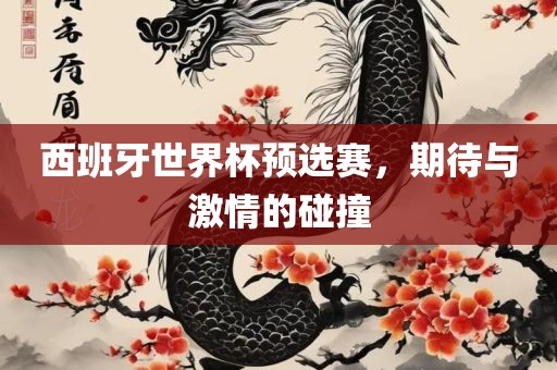 西班牙世界杯预选赛，期待与激情的碰撞