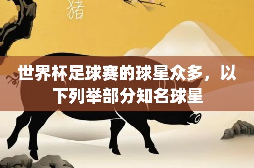 世界杯足球赛的球星众多，以下列举部分知名球星