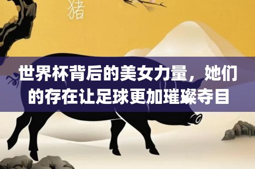 世界杯背后的美女力量，她们的存在让足球更加璀璨夺目