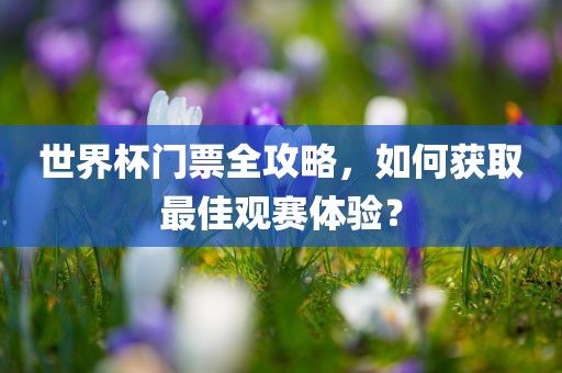 世界杯门票全攻略，如何获取最佳观赛体验？