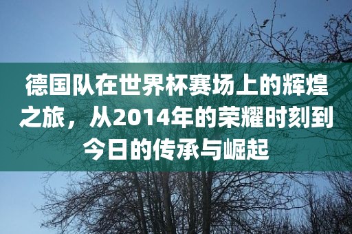 德国队在世界杯赛场上的辉煌之旅，从2014年的荣耀时刻到今日的传承与崛起