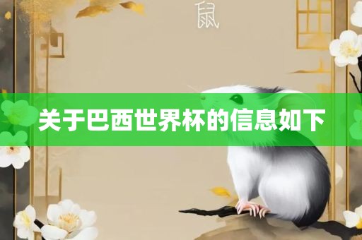 关于巴西世界杯的信息如下