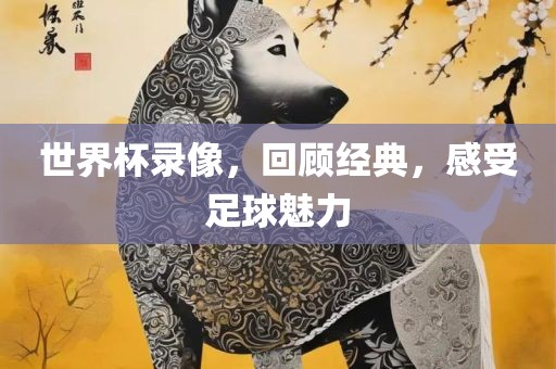 世界杯录像，回顾经典，感受足球魅力