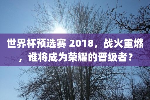 世界杯预选赛 2018，战火重燃，谁将成为荣耀的晋级者？