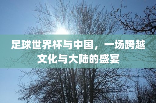 足球世界杯与中国，一场跨越文化与大陆的盛宴