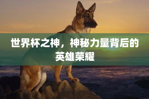 世界杯之神，神秘力量背后的英雄荣耀