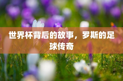 世界杯背后的故事，罗斯的足球传奇