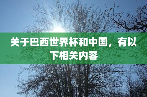 关于巴西世界杯和中国，有以下相关内容