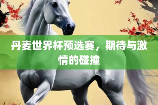 丹麦世界杯预选赛，期待与激情的碰撞