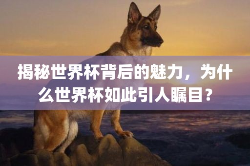 揭秘世界杯背后的魅力，为什么世界杯如此引人瞩目？