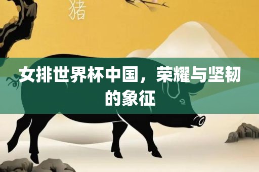 女排世界杯中国，荣耀与坚韧的象征