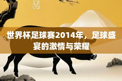 世界杯足球赛2014年，足球盛宴的激情与荣耀