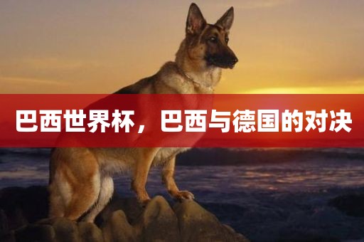 巴西世界杯，巴西与德国的对决