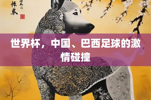 世界杯，中国、巴西足球的激情碰撞