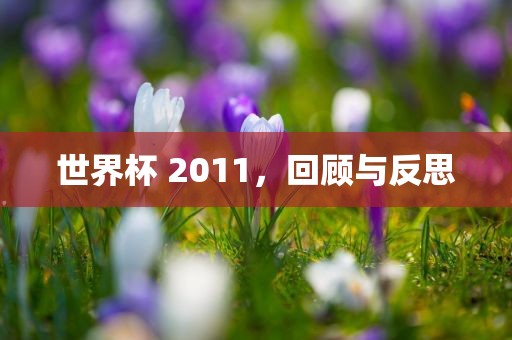 世界杯 2011，回顾与反思
