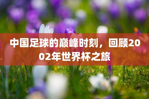 中国足球的巅峰时刻，回顾2002年世界杯之旅