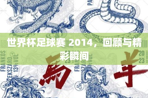 世界杯足球赛 2014，回顾与精彩瞬间