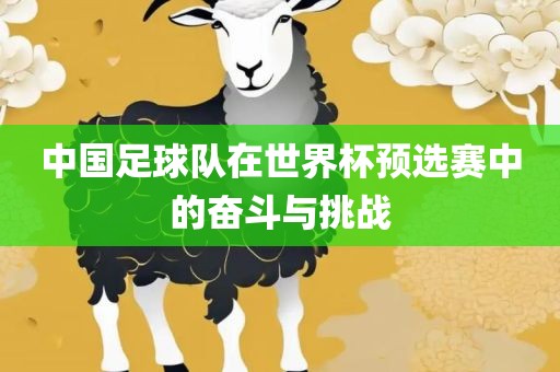 中国足球队在世界杯预选赛中的奋斗与挑战