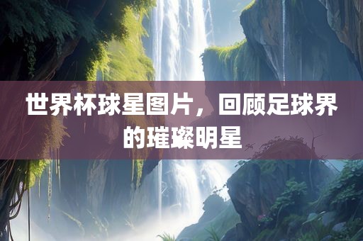 世界杯球星图片，回顾足球界的璀璨明星