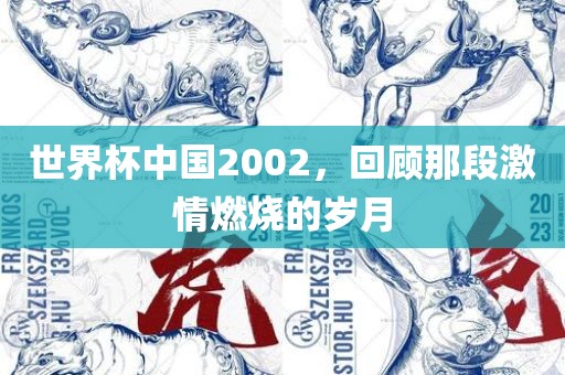 世界杯中国2002，回顾那段激情燃烧的岁月