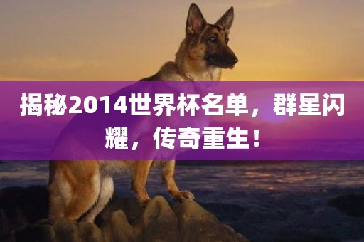揭秘2014世界杯名单，群星闪耀，传奇重生！