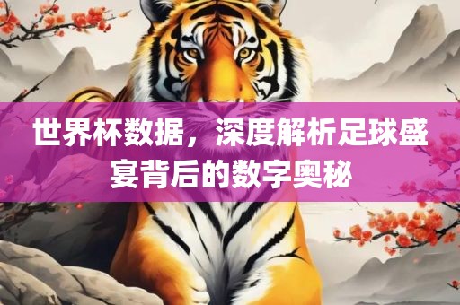 世界杯数据，深度解析足球盛宴背后的数字奥秘