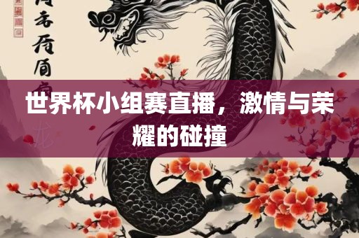 世界杯小组赛直播，激情与荣耀的碰撞