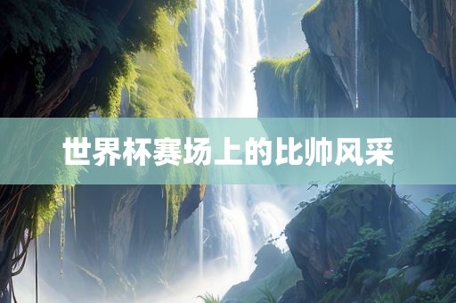 世界杯赛场上的比帅风采
