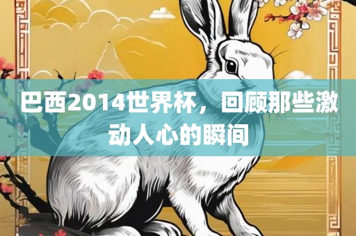 巴西2014世界杯，回顾那些激动人心的瞬间